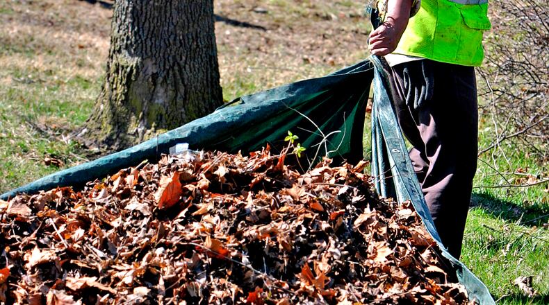 Elias Mendez Ambrocio from Brickman Landscaping pulls a tarp full of leaves to a waiting truck at Sunset Park in Middletown in this file photo. STAFF