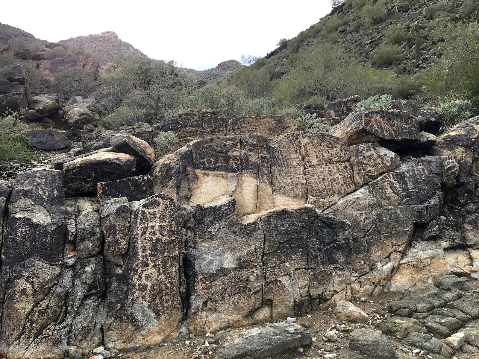 Ancient petroglyphs from the Hohokam culture are a main draw to the White Tank Mountains Regional Park in Waddell. (Sue Campbell/Minneapolis Star Tribune/TNS)