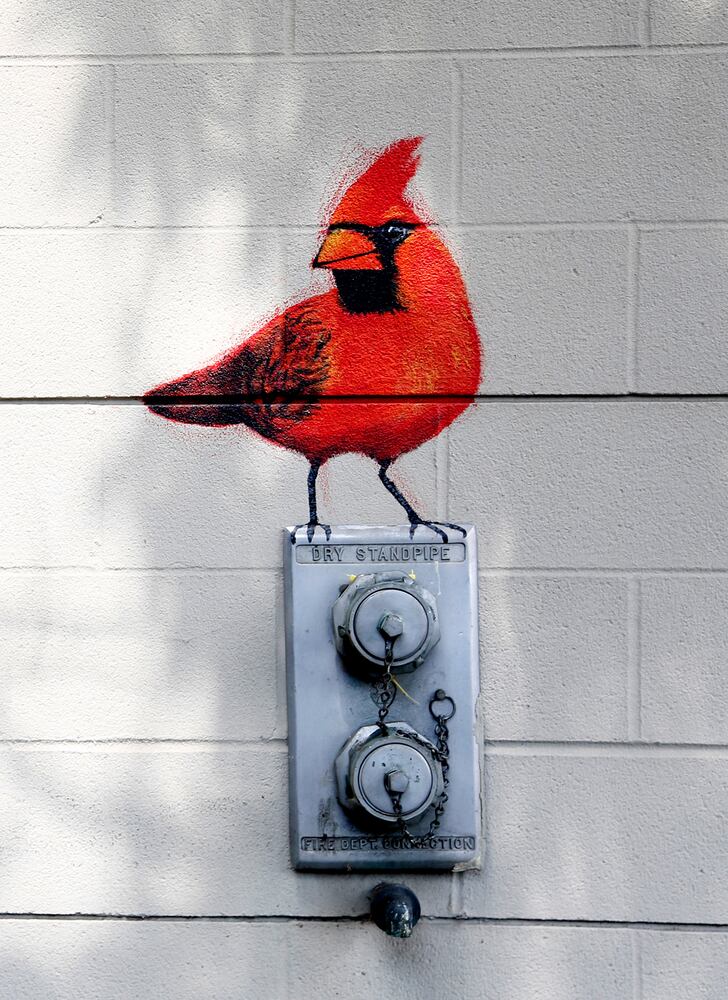 Murals: Dayton's painted vistas