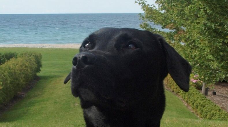 A one-of-a-kind nose. JORDAN BLAKE / CONTRIBUTED