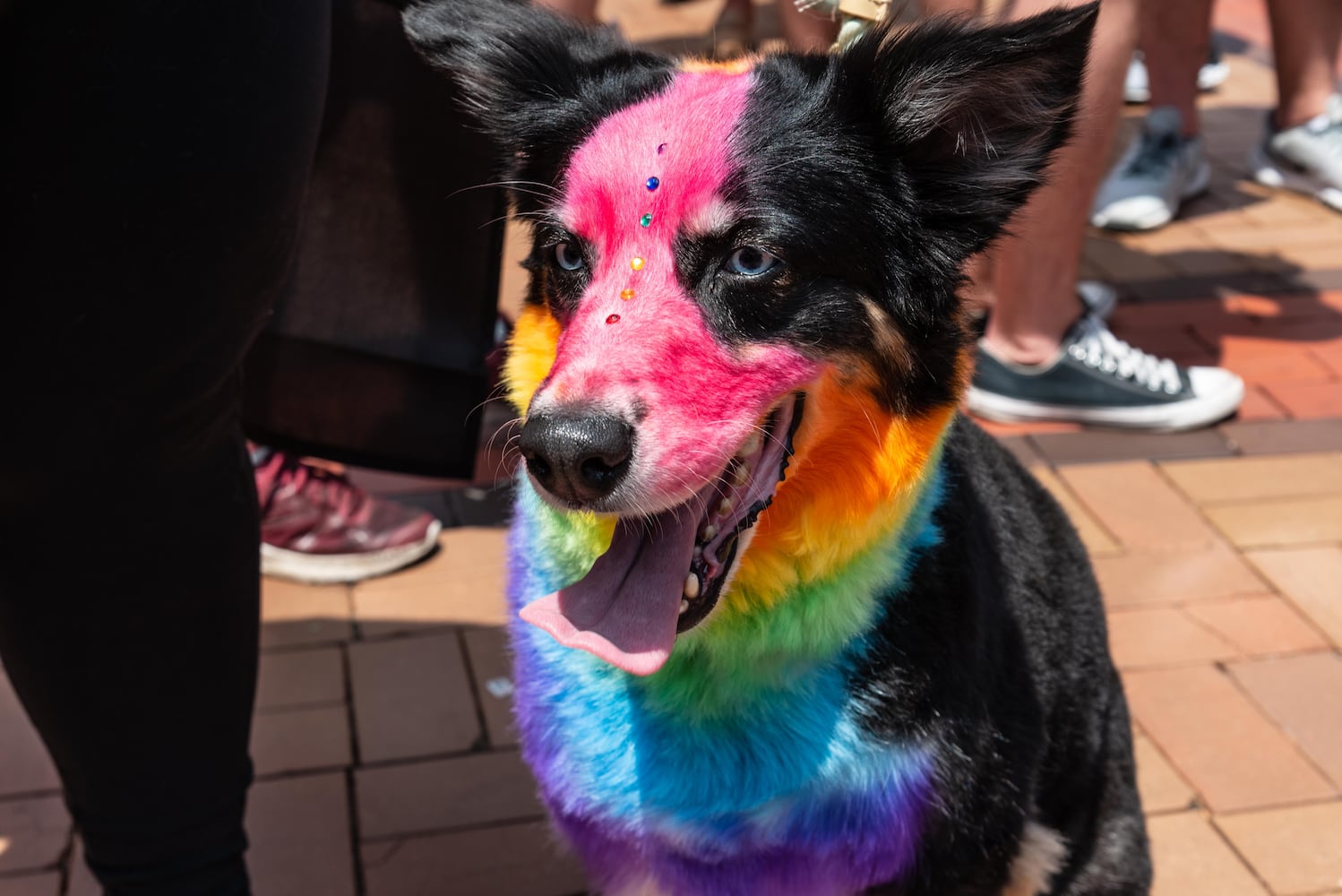 PHOTOS: Did we spot you at the Dayton Pride: United We Can Parade & Festival?