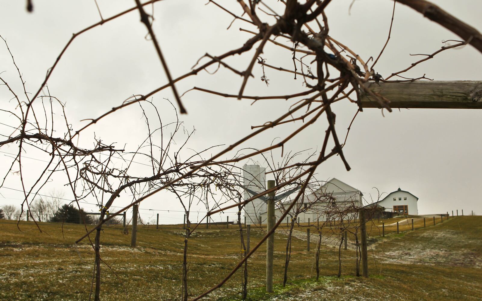 Caesar Creek Vineyards, at 962 Long Road east of Xenia