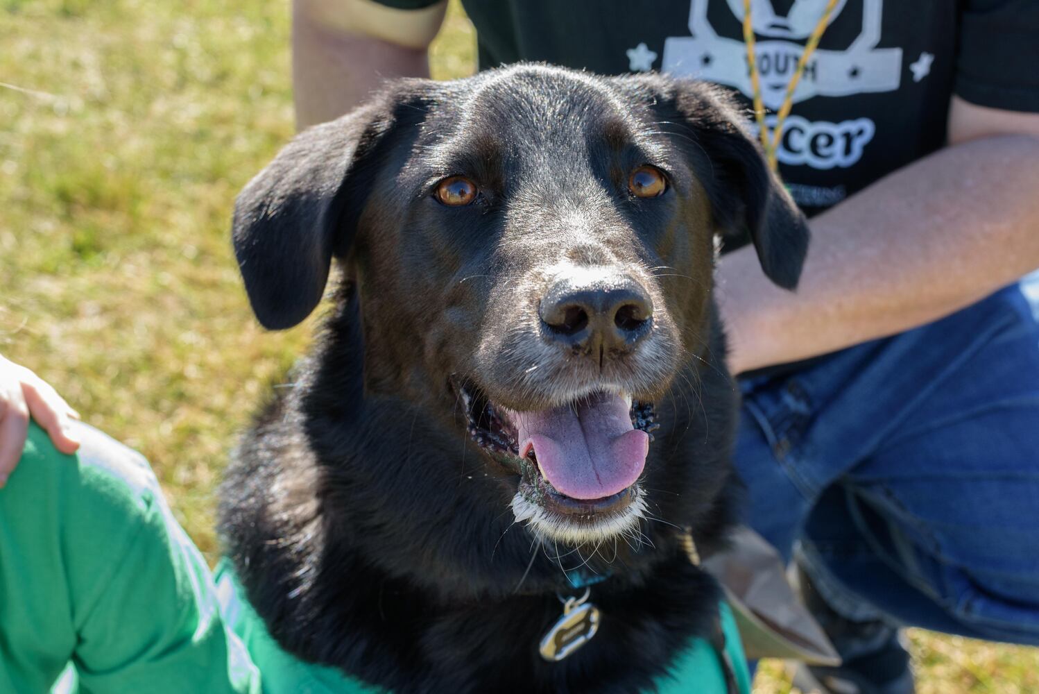 PHOTOS: Did we spot you and your dog at Wag-O-Ween at the Kettering Recreation Center?