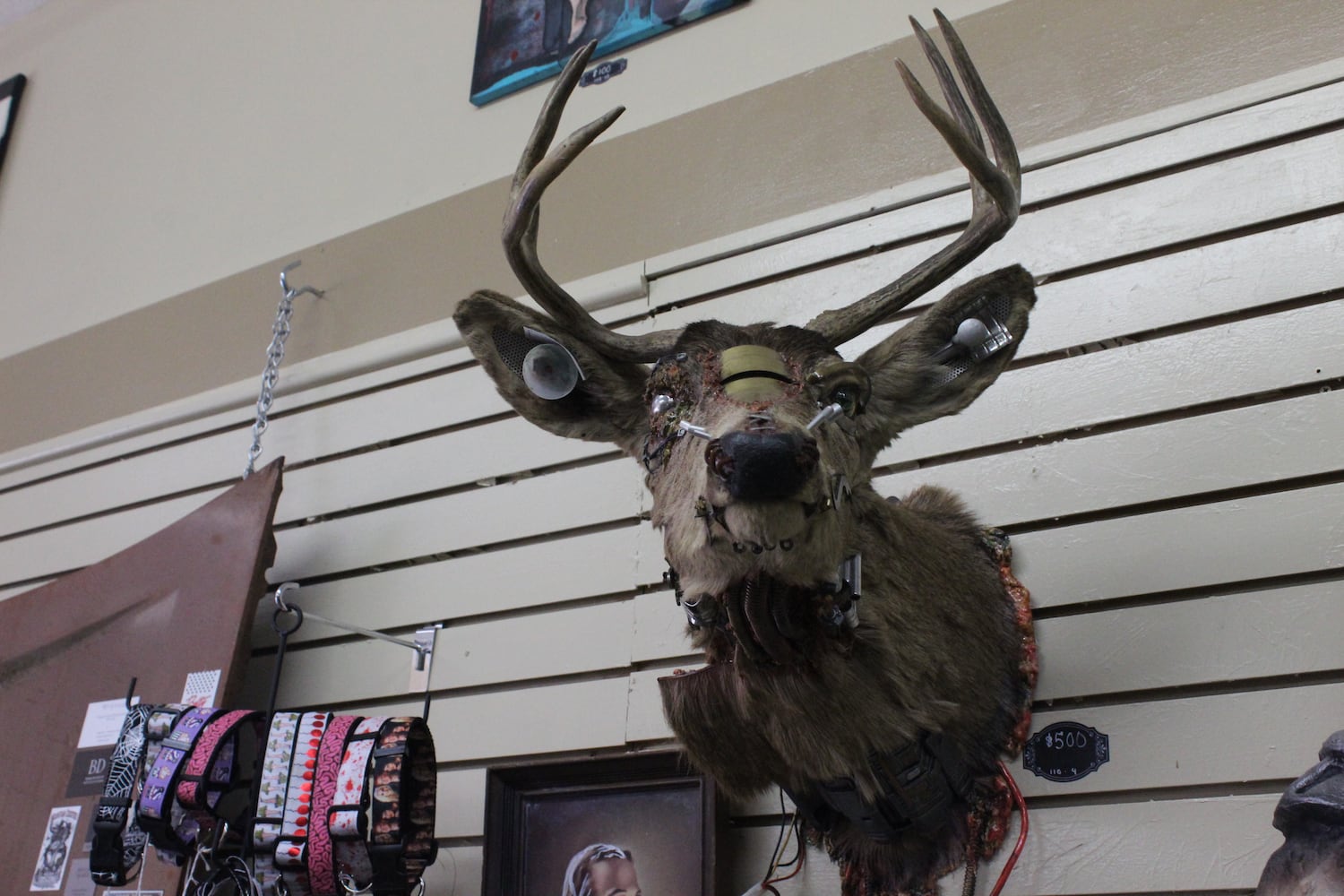 Photos: The Secret Chamber  House of Oddities and Art