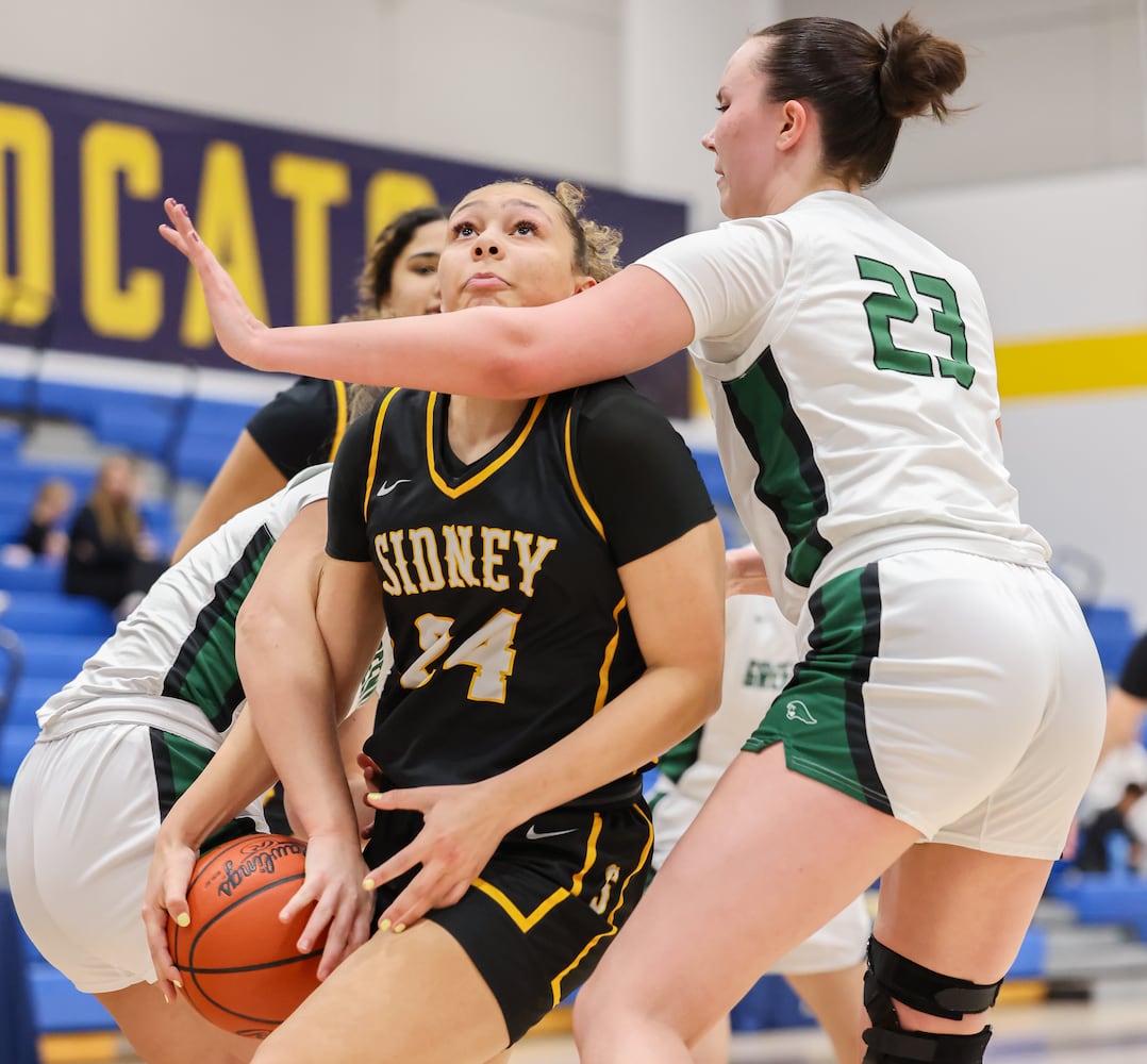 DDN 022026 Sidney Greenville