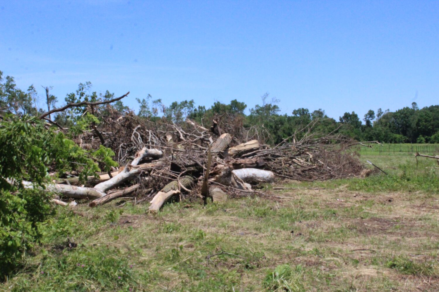 Photos: ‘extraordinary’ damage to parts of  Wegerzyn MetroPark, some parts mostly untouched