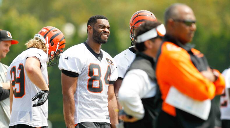Cincinnati Bengals tight end Jermaine Gresham (84) watches a play during training camp practice Tuesday, Aug. 5, 2014, in downtown Cincinnati. NICK DAGGY / STAFF