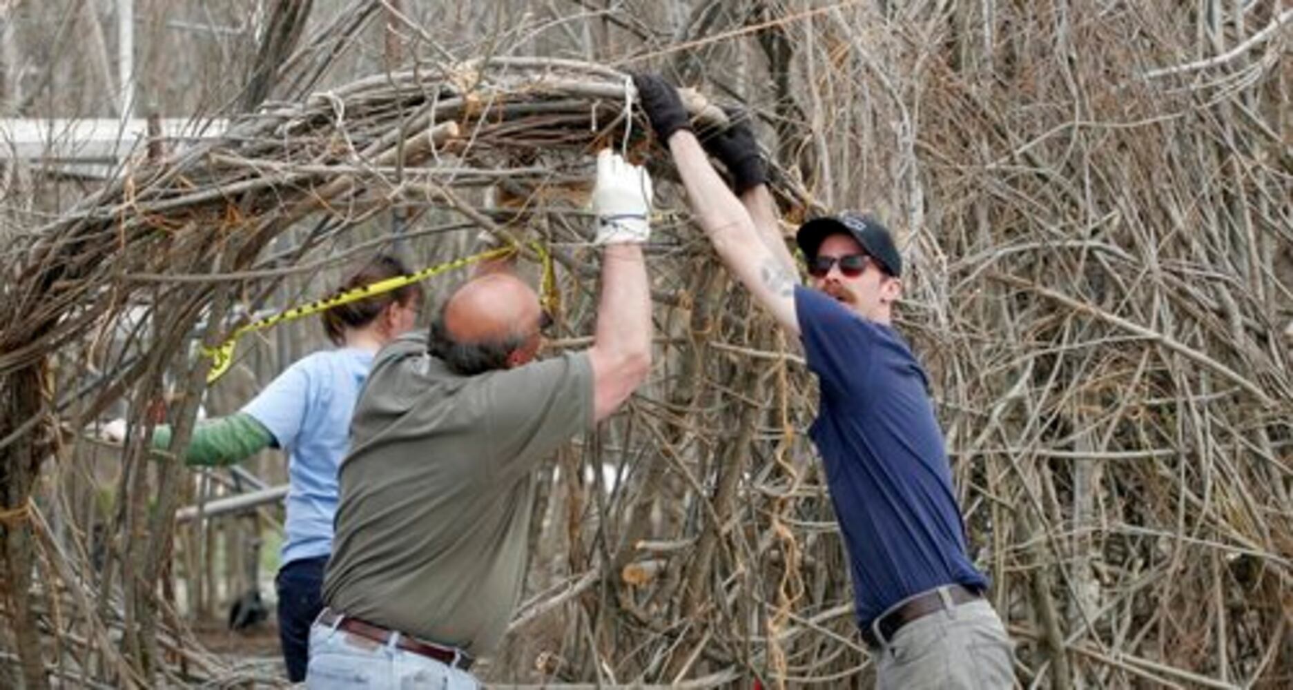 "Woven Wood" artist Patrick Dougherty