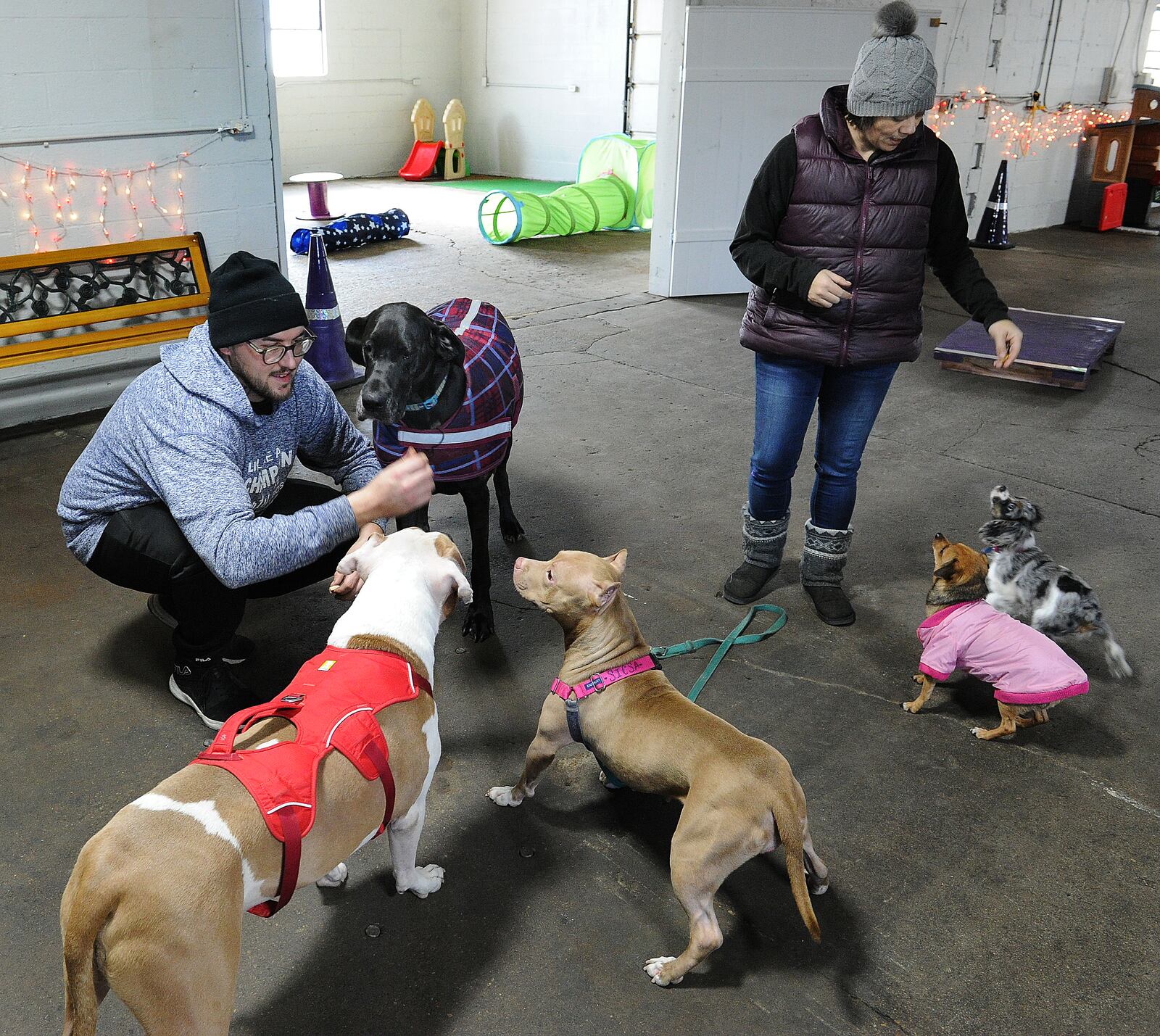 Michael Fischer, left and Maria Ochs, works with dogs at the Bahati & Freys Place located at 1825 Webster Street, Suite B. MARSHALL GORBY\STAFF
