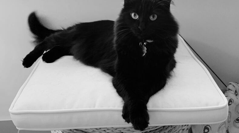 Wednesday as Wednesday. PROVIDED