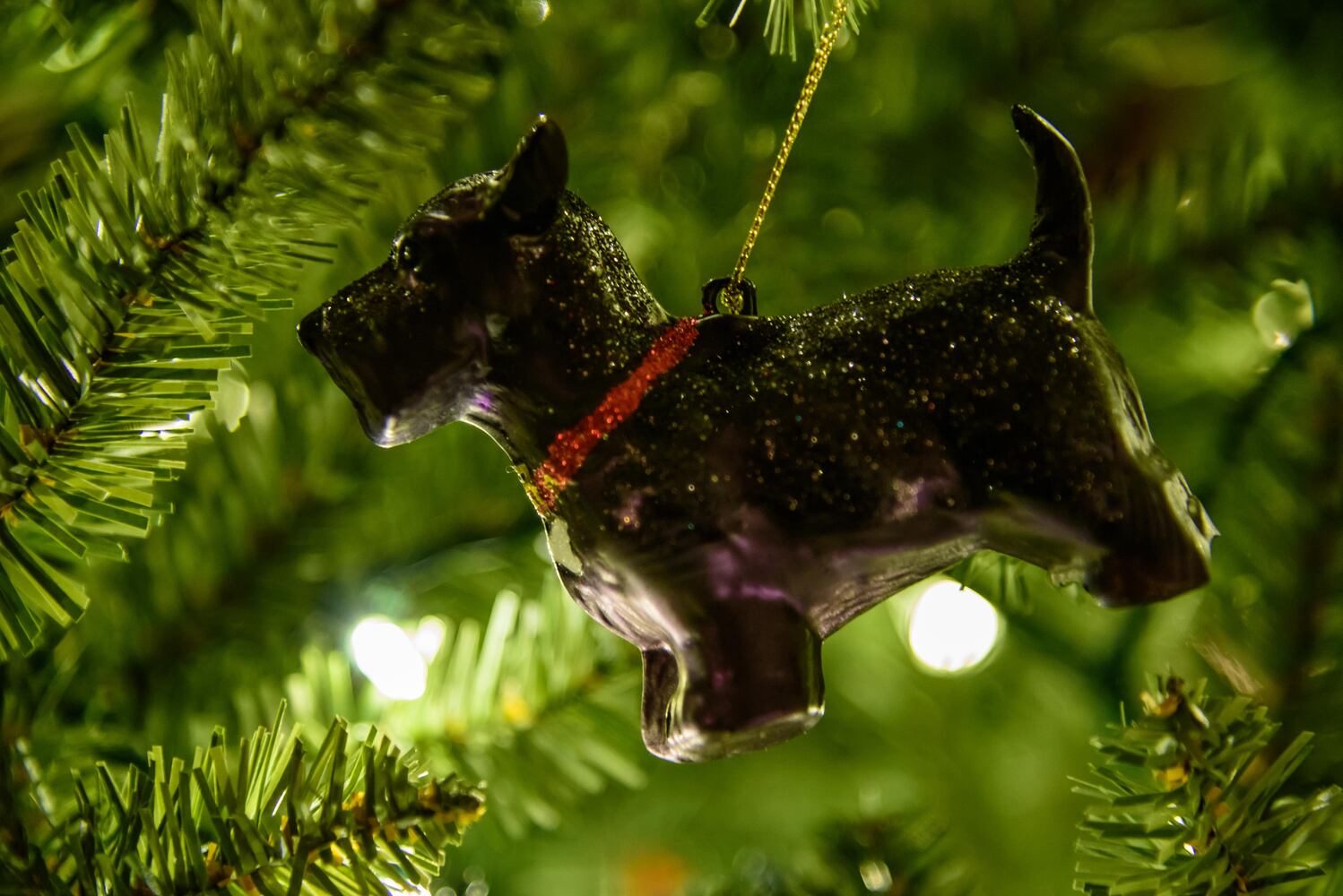 PHOTOS: Take a look inside stunning Oregon District homes decorated for its annual Candlelight Holiday Tour