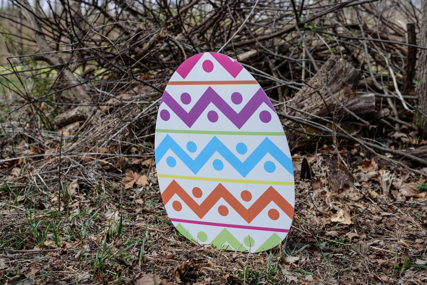 PHOTOS: Eggstravaganza at Lost Creek Reserve