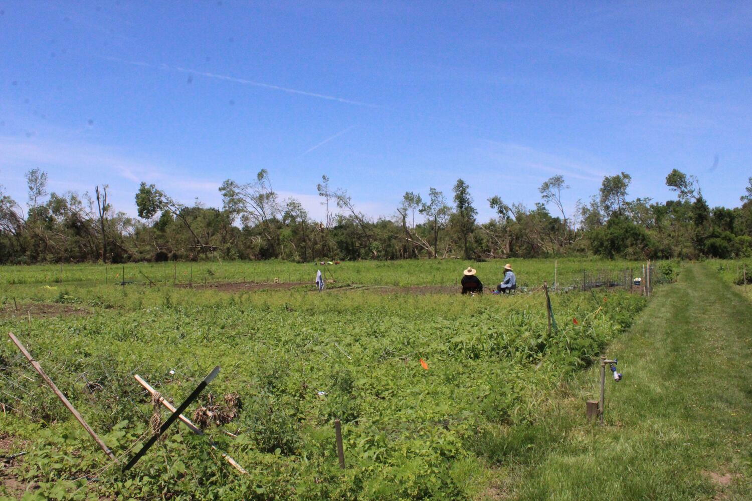 Photos: ‘extraordinary’ damage to parts of  Wegerzyn MetroPark, some parts mostly untouched