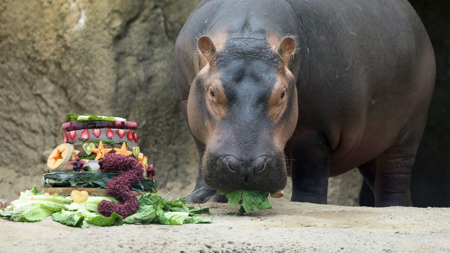 Fiona's 3rd birthday
