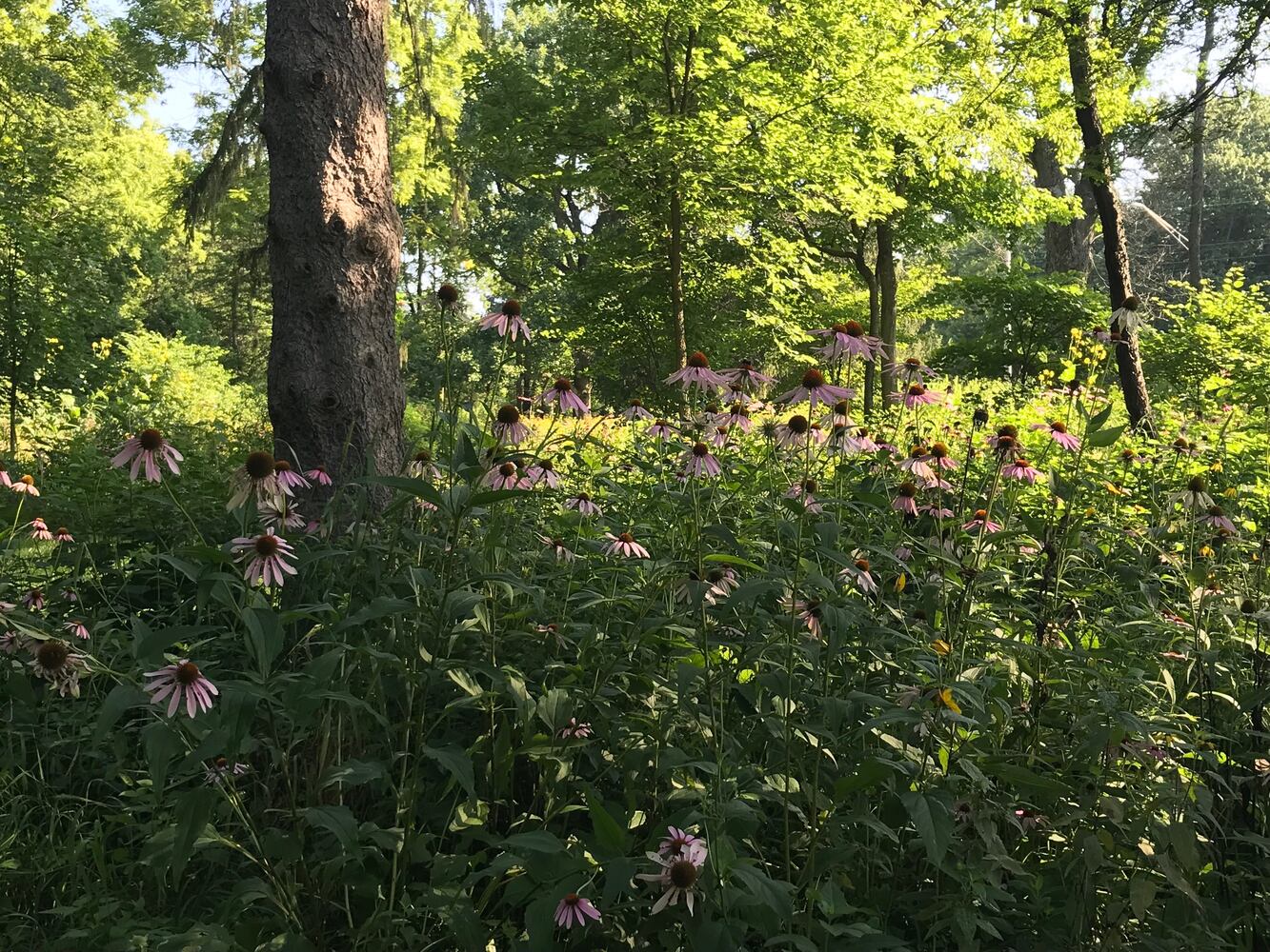 PHOTOS: This hidden park on the side of the road might be one of Dayton’s most peaceful spots