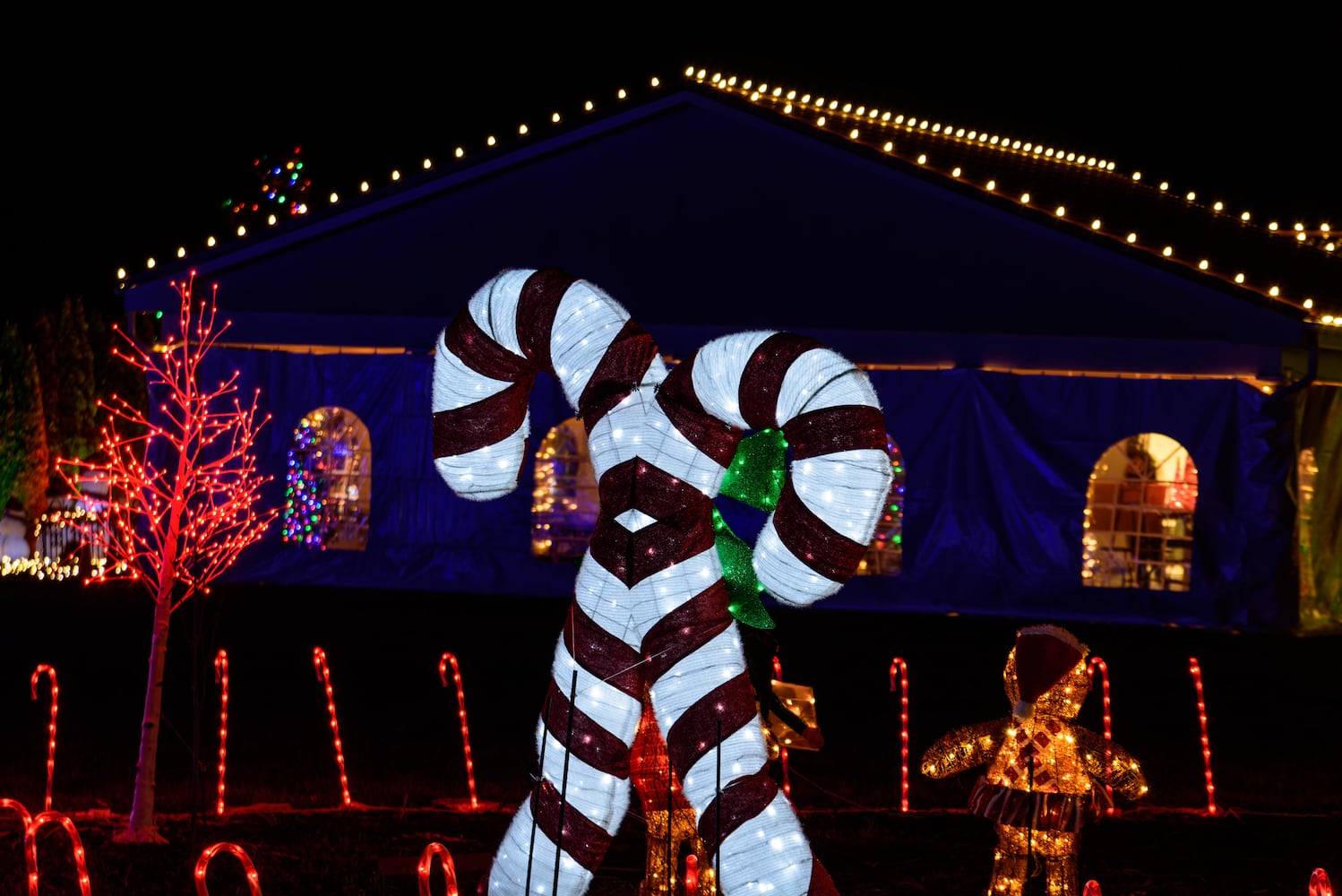 PHOTOS: Christmas Light Spectacular at Cedar Springs Pavilion