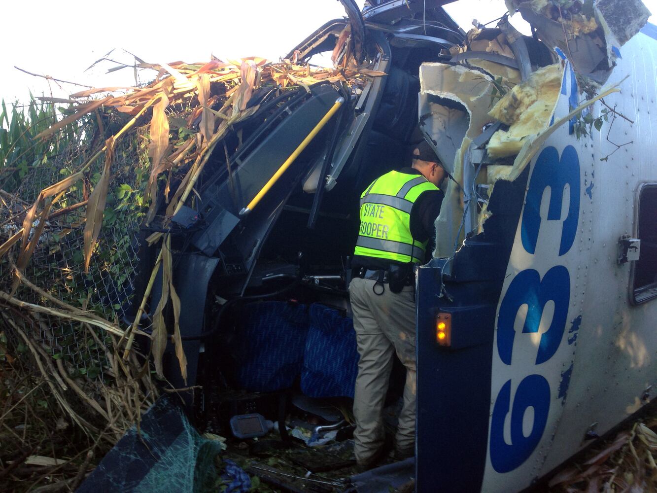 Greyhound crash