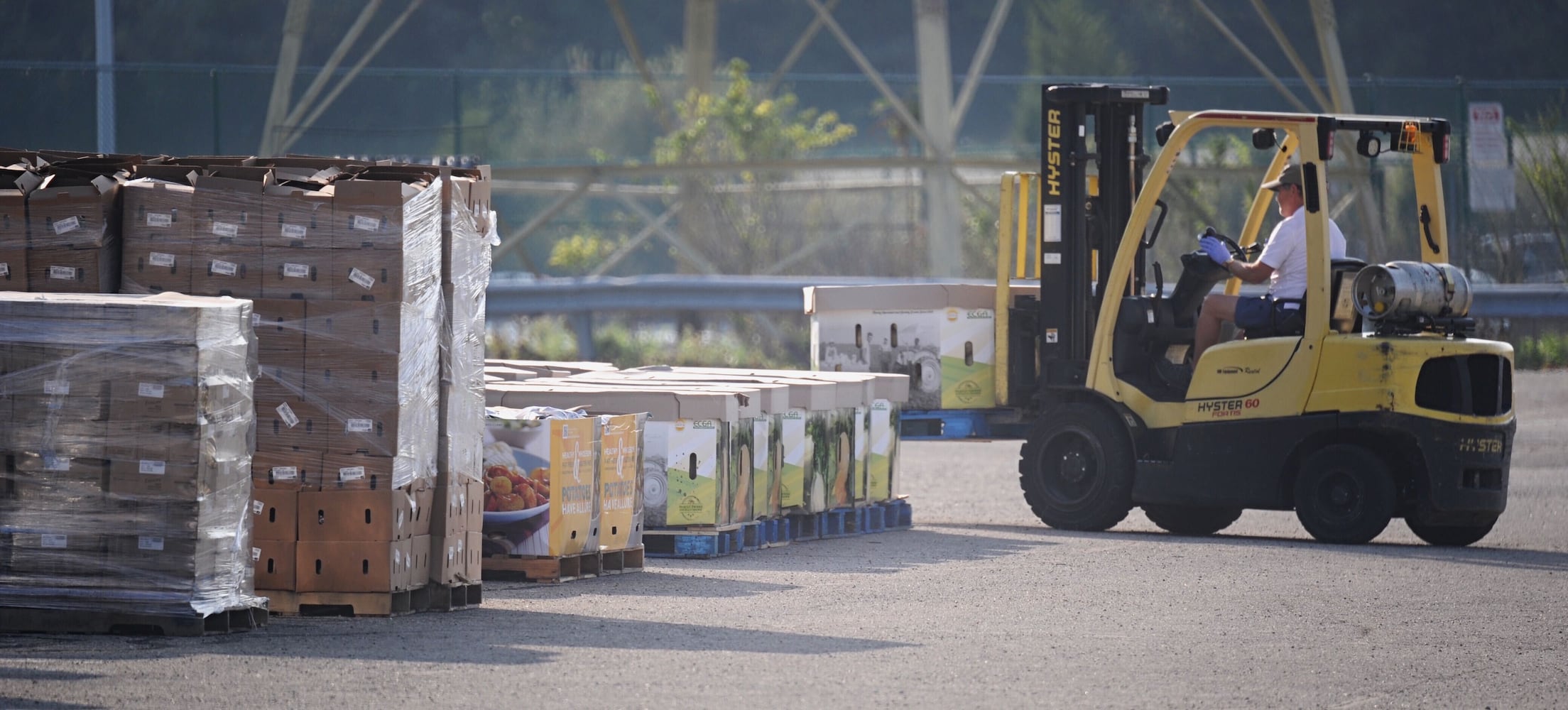 Food distribution even at Nutter Center