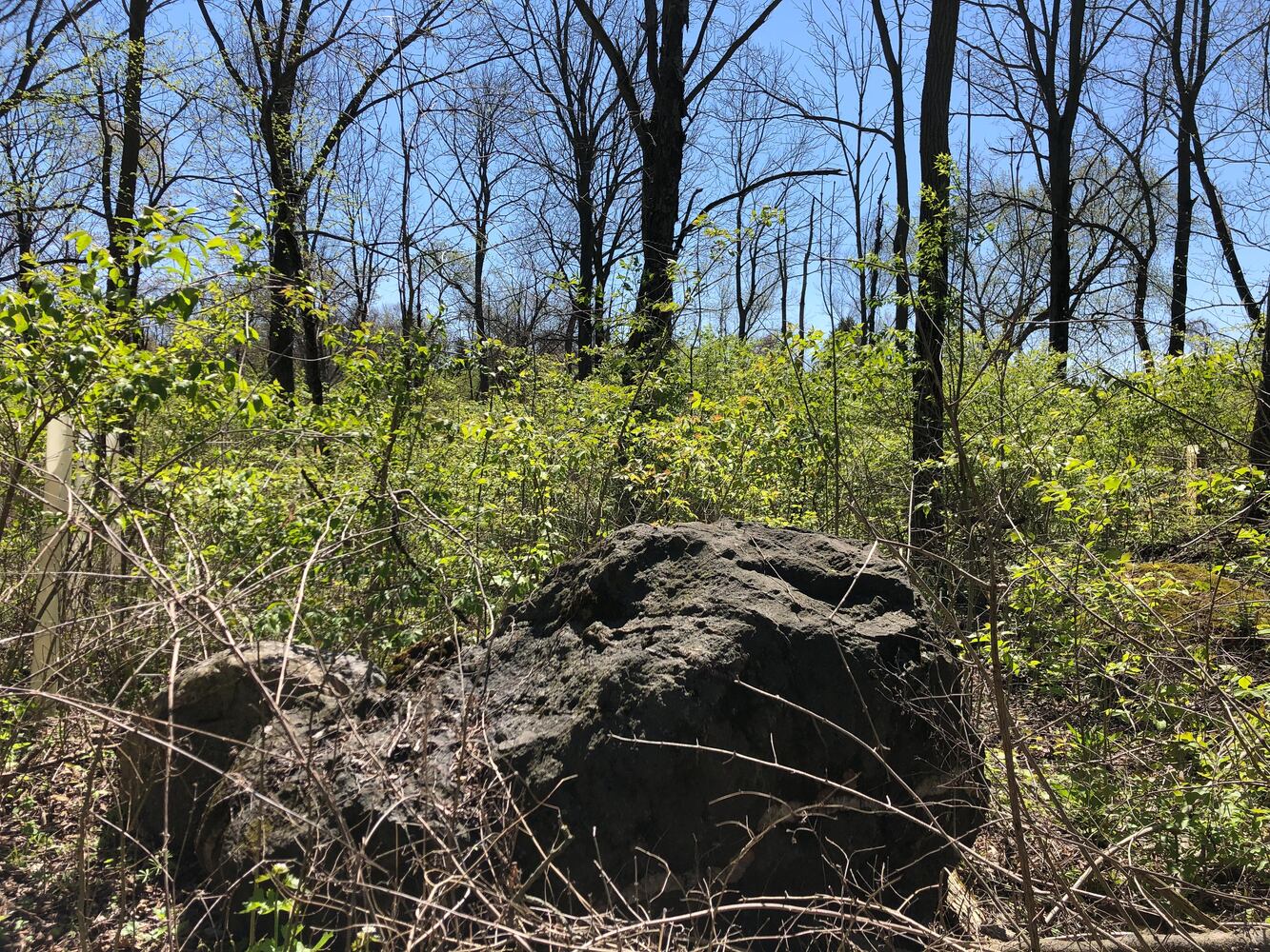Wesleyan MetroPark