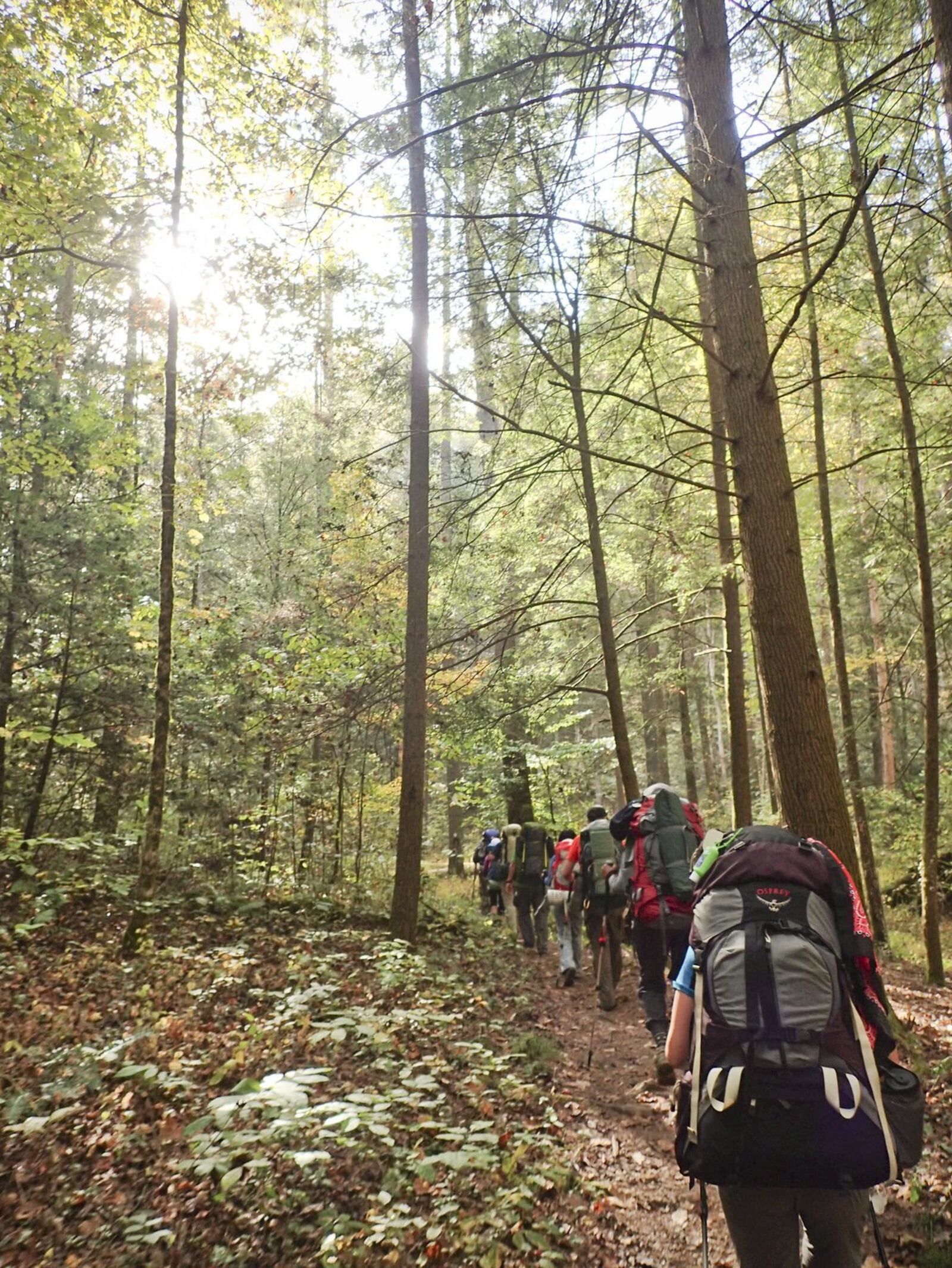 The region is home to more than 200 miles of hiking trails. CONTRIBUTED