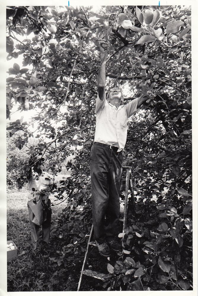 Photos: Monnin Fruit Farm through the years