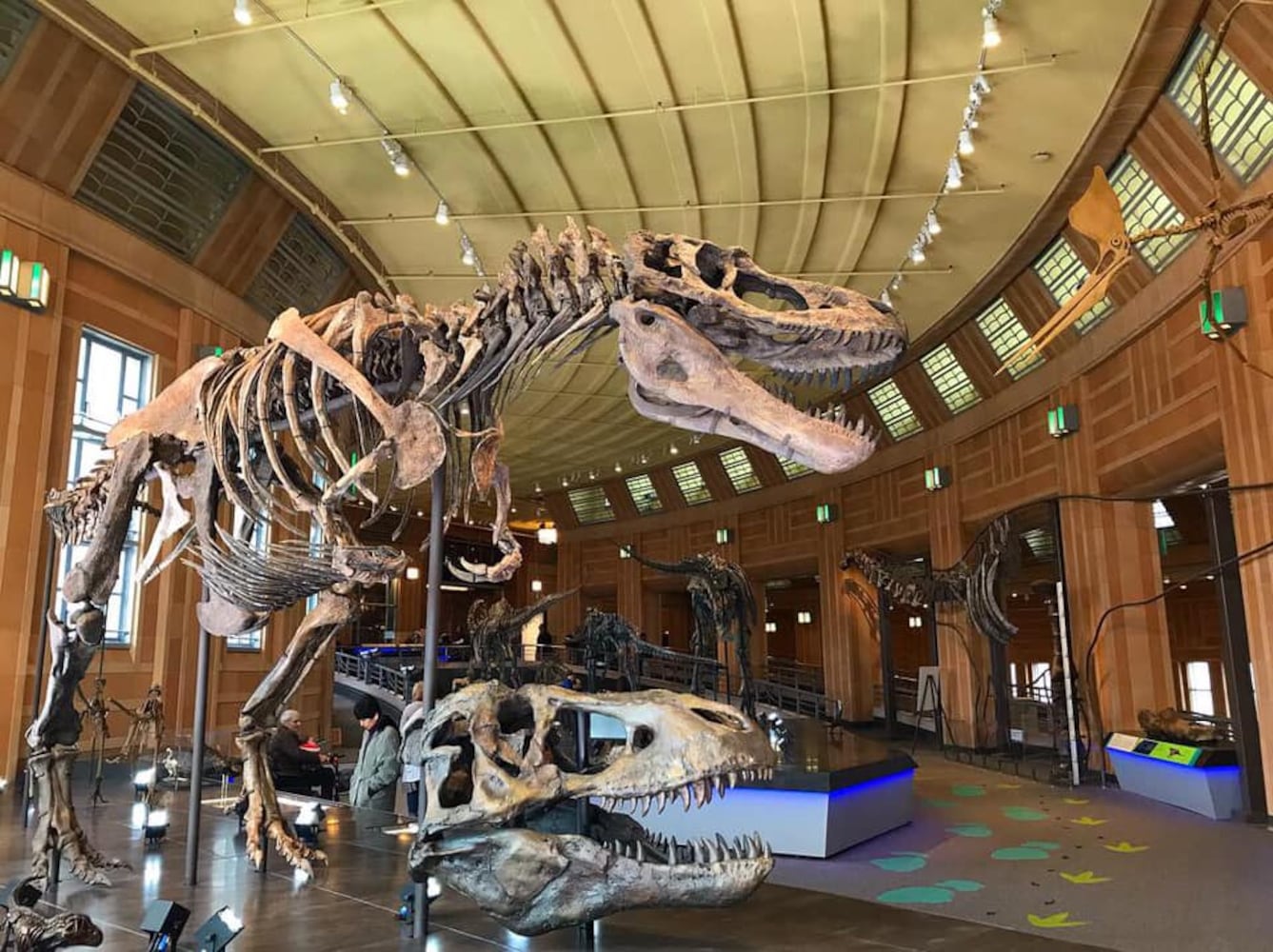 PHOTOS: Cincinnati Museum Center reopens with dinosaurs 60-feet tall and mysteries of the Maya civilization