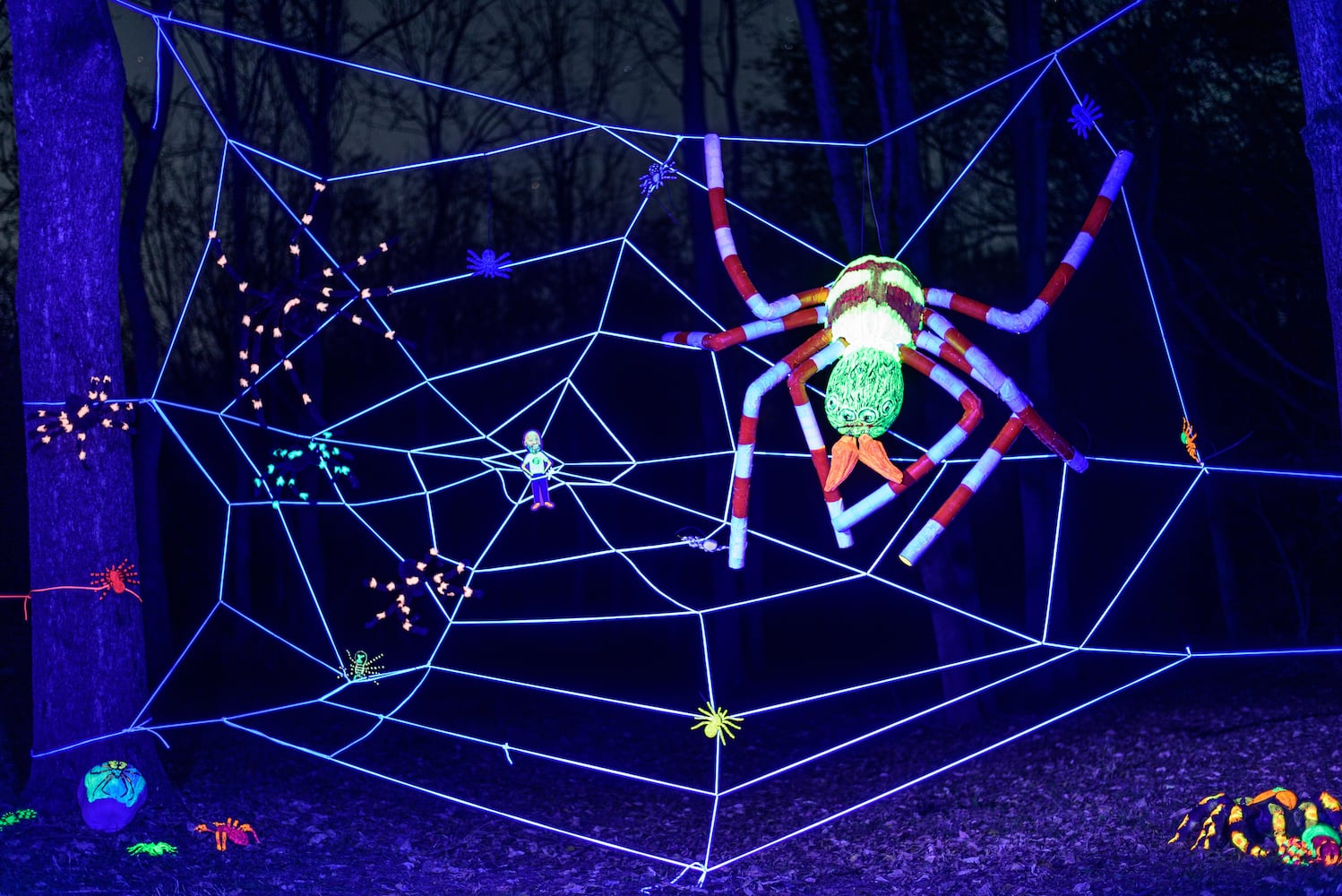 PHOTOS: 2024 Pumpkin Glow at Caesar Ford Park