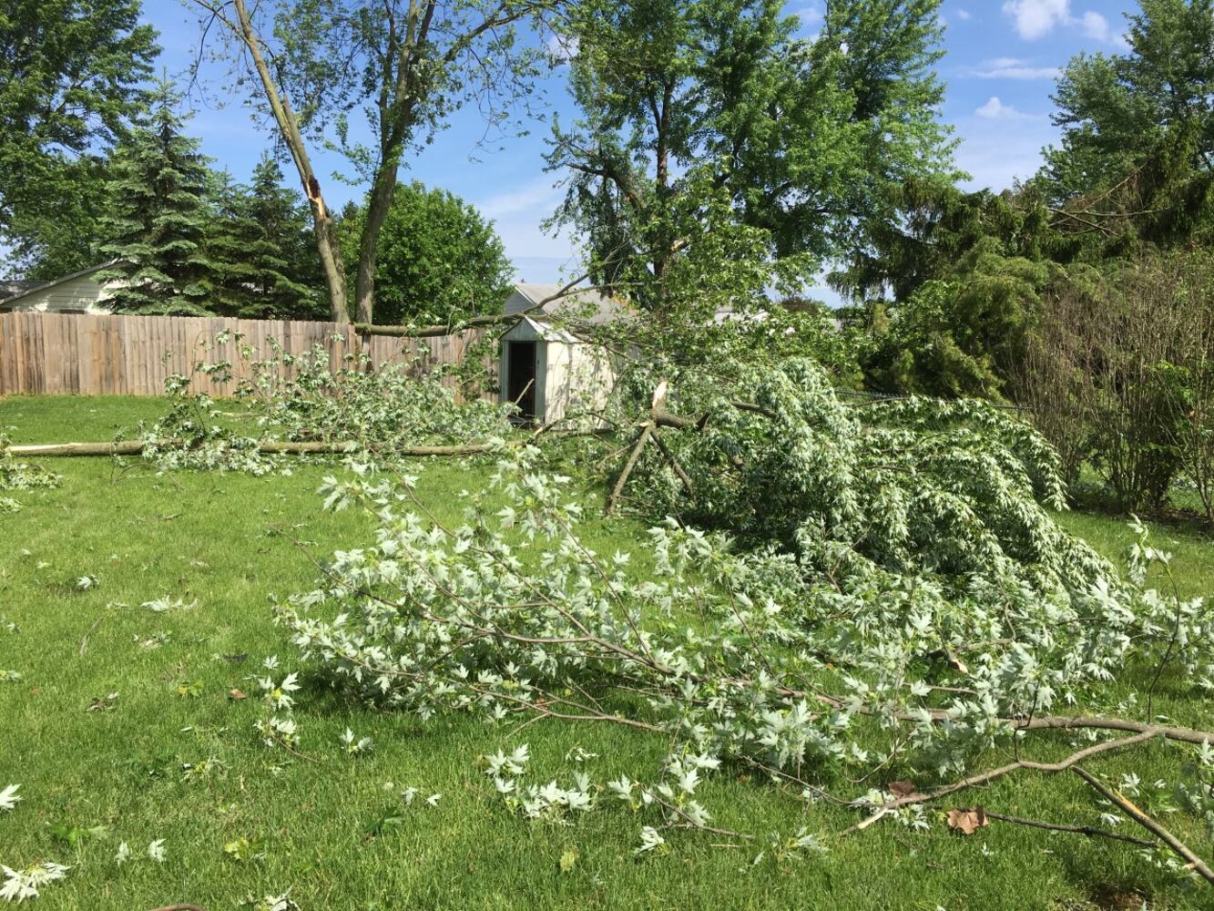 PHOTOS: Storm damage across Miami Valley
