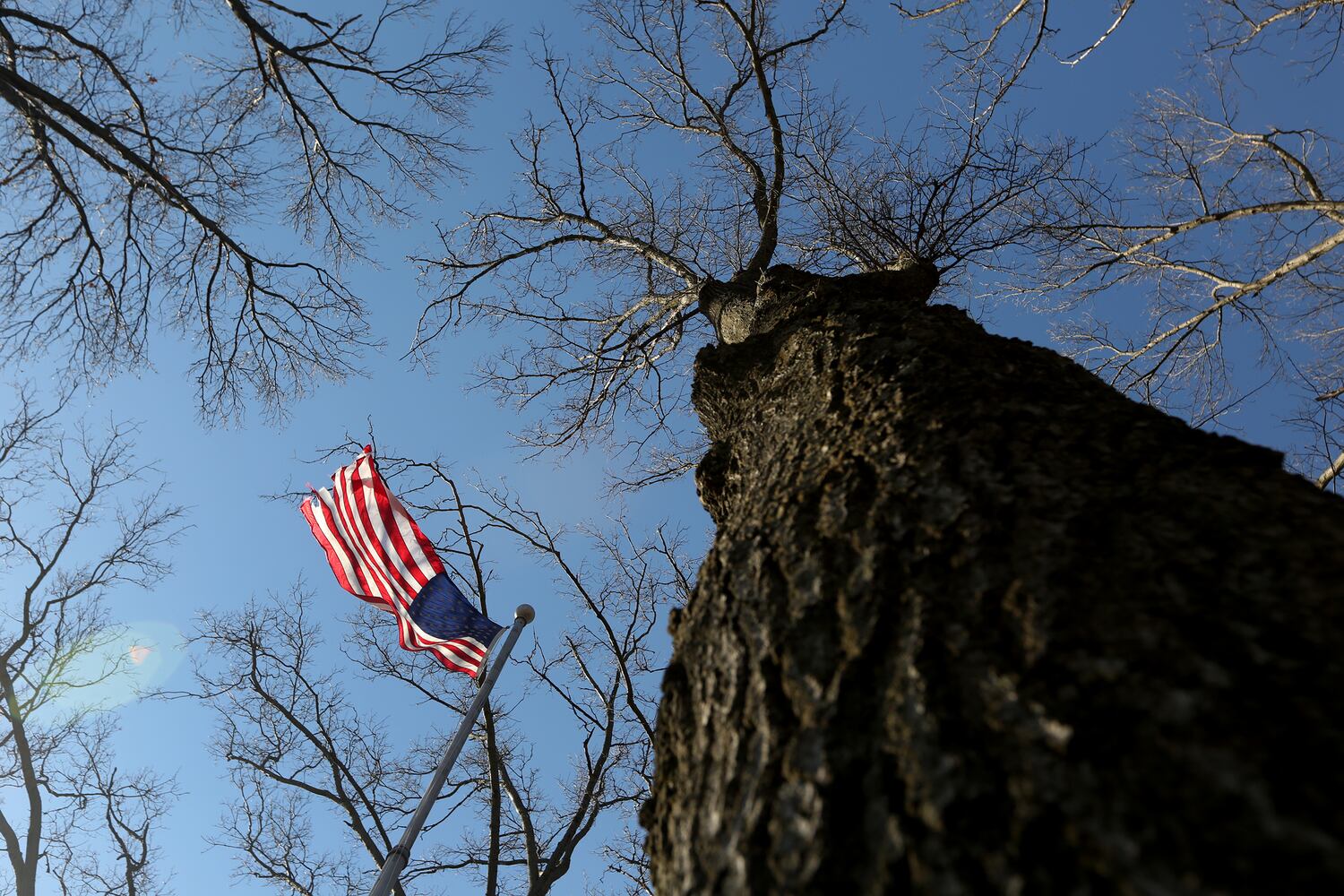 Victory Oak Knoll, a grove of 180 oak trees, was planted in 1921 to commemorate local World War I veterans.