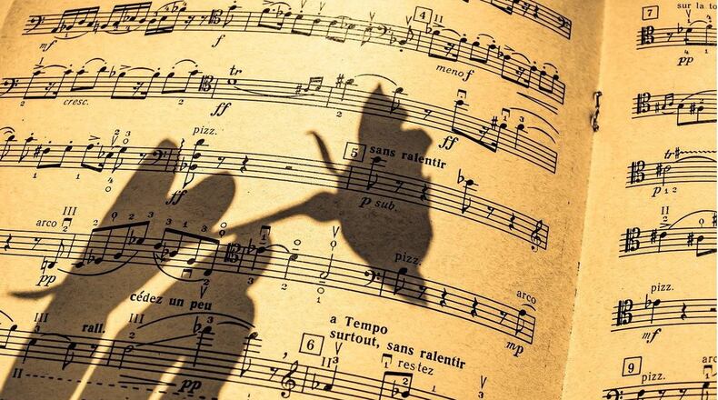 A Florida woman is hitting the right notes with her neighbors, setting up in her backyard daily to play a concert with her electric violin.