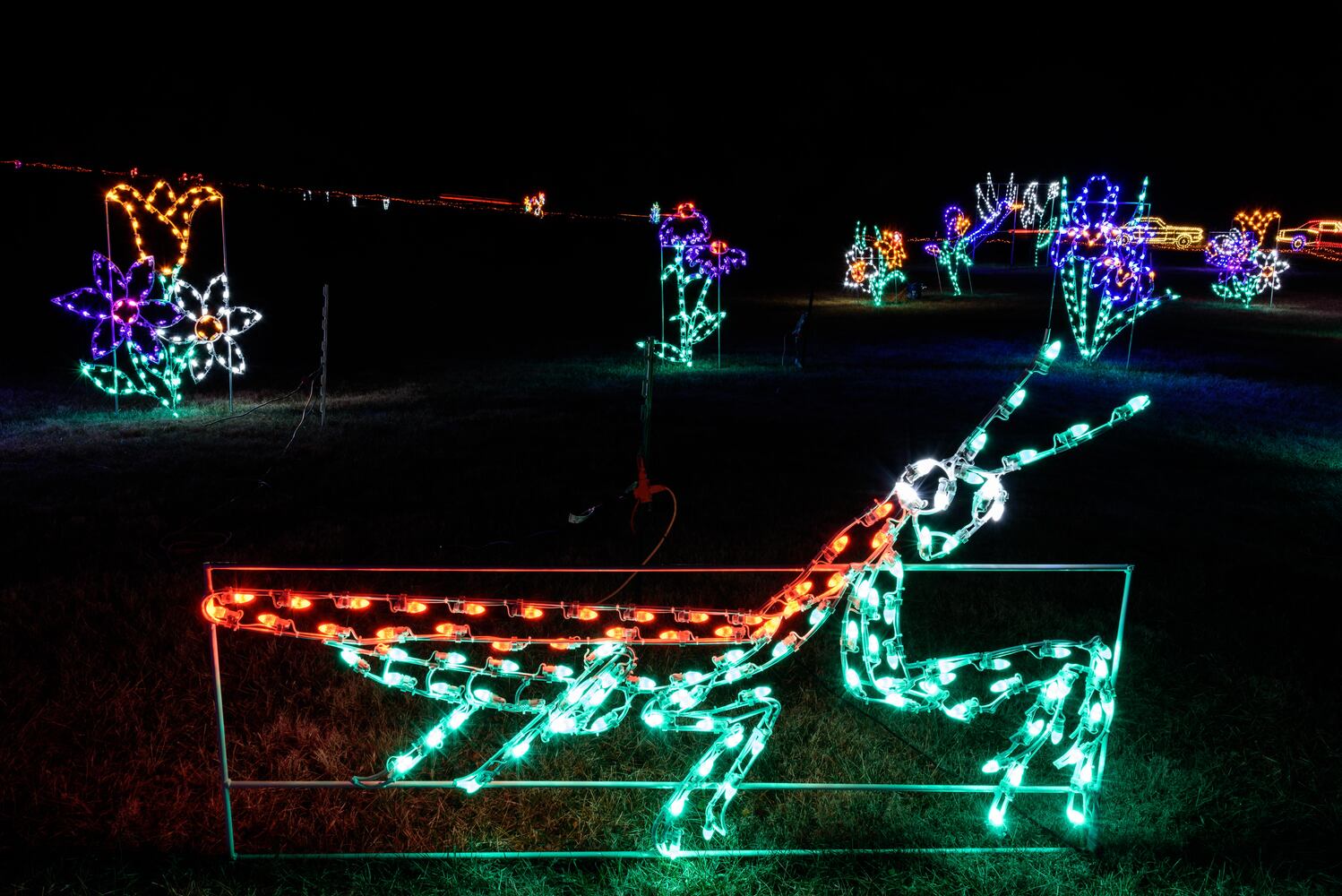 PHOTOS: ParkLights at Caesar Ford Park