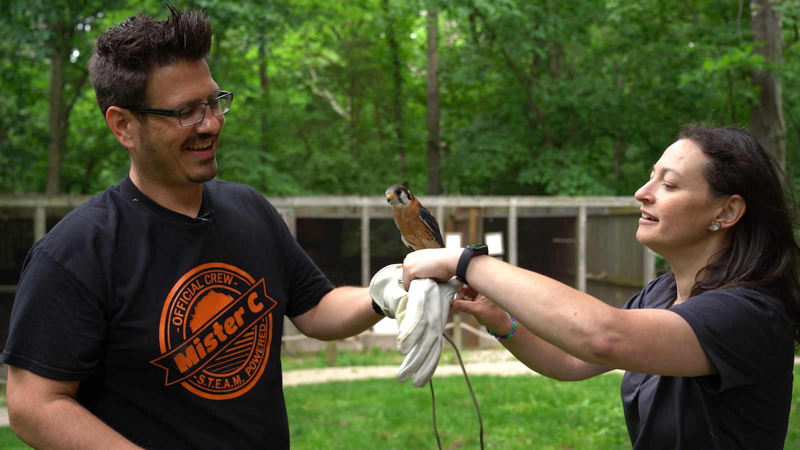 Kevin Cornell, or 'Mister C' on PBS' Wunderstem, takes Odin the American kestrel from Rebecca Jaramillo at the Glen Helen Raptor Center on an episode of WunderSTEM. CONTRIBUTED