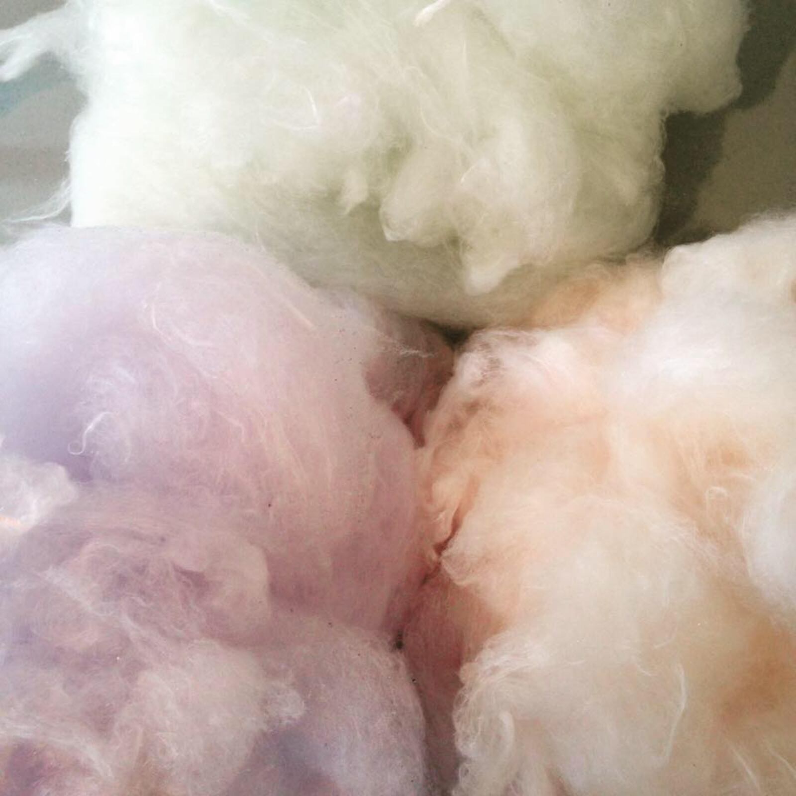 Flying Santucci Bros. Gourmet Cotton Candy