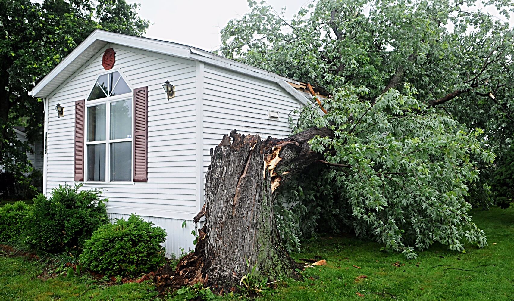 PHOTOS: Aftermath of destructive storms, tornadoes this morning
