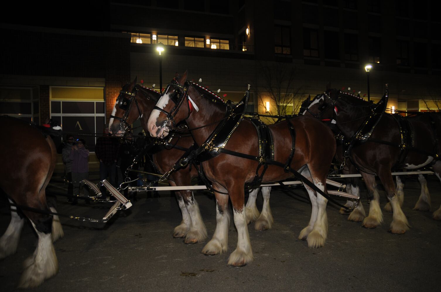 PHOTOS: Budweiser Clydesdales, Santa and more early holiday fun at Austin Landing’s tree lighting