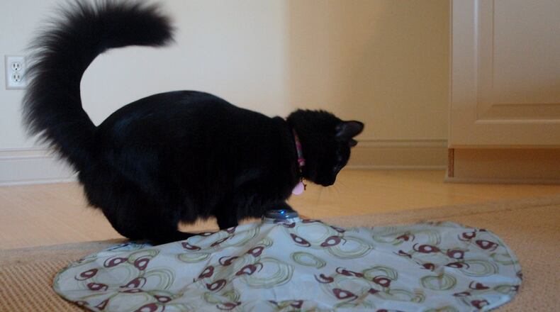 Wednesday playing with her toy. JORDAN BLAKE/CONTRIBUTED