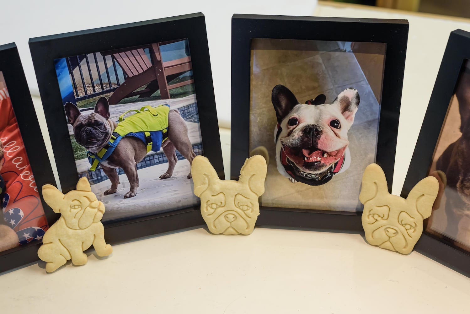 PHOTOS: 5 Frenchies Old North Dayton Bakery Grand Opening