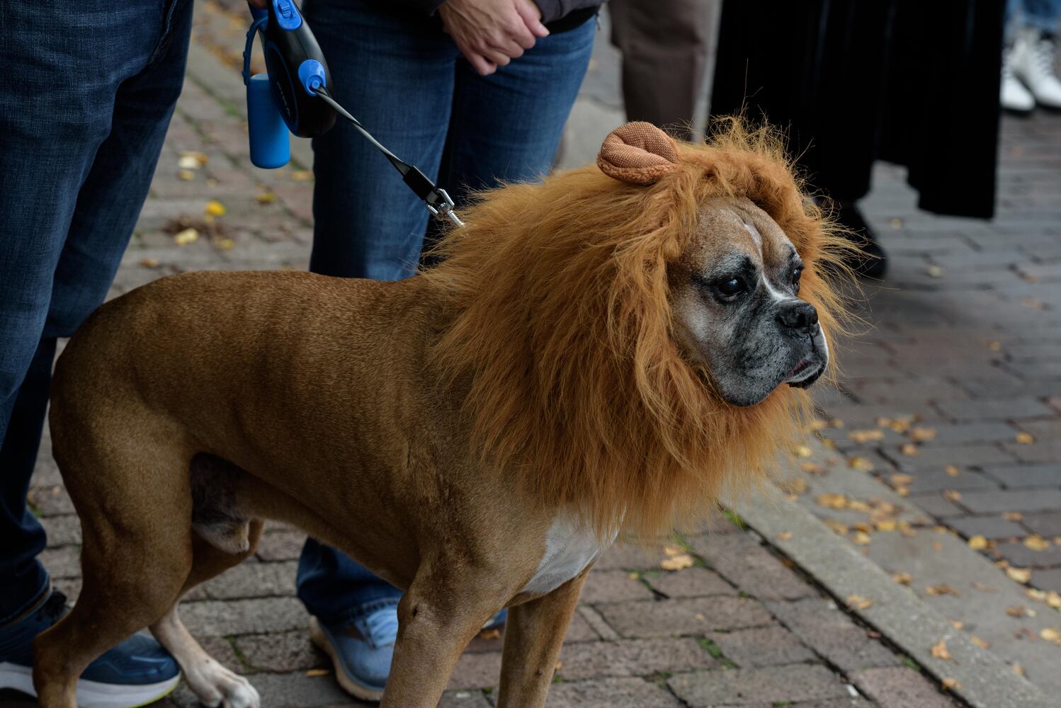 PHOTOS: Dayton Dia de Muertos Parade & Celebration