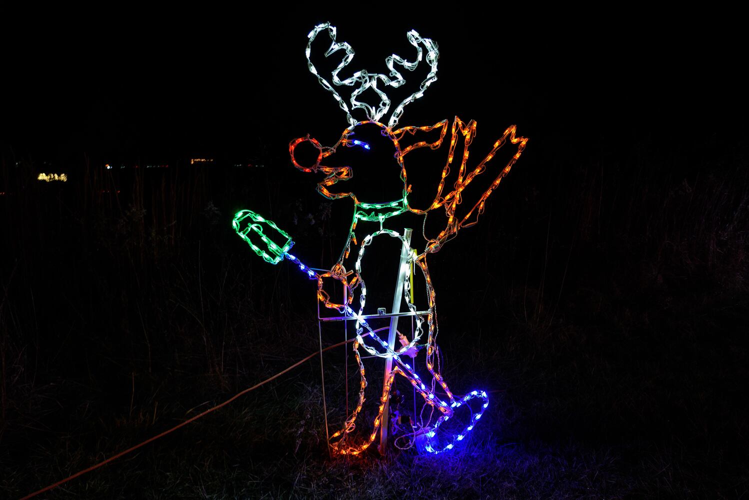 PHOTOS: ParkLights at Caesar Ford Park