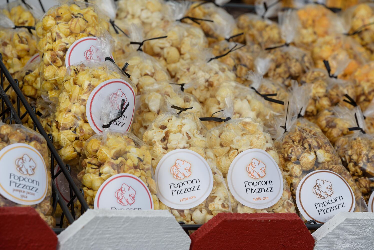 PHOTOS: Did we spot you at the Beavercreek Popcorn Festival?