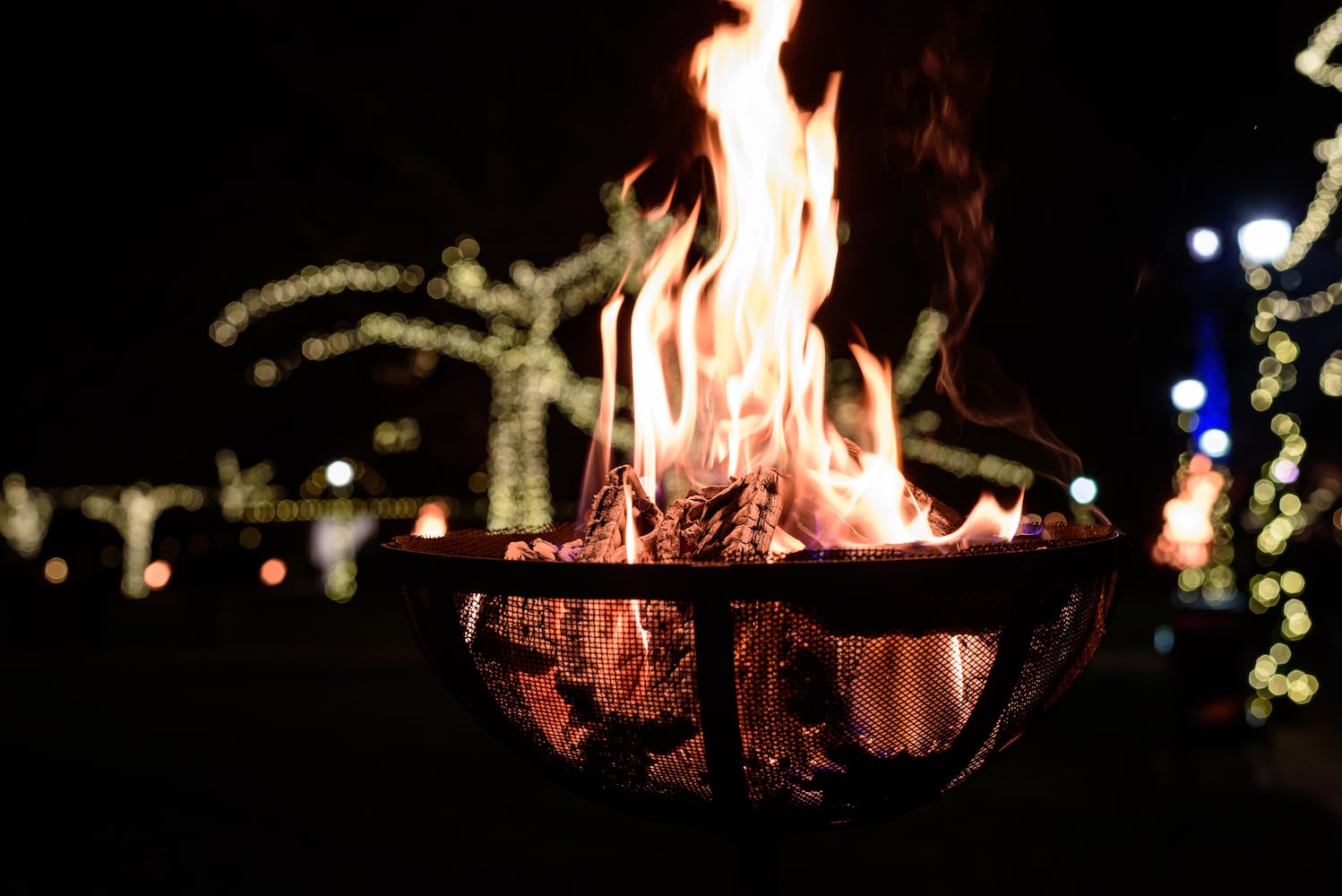 PHOTOS: 30th annual Ringing in the Holidays at Carillon Historical Park