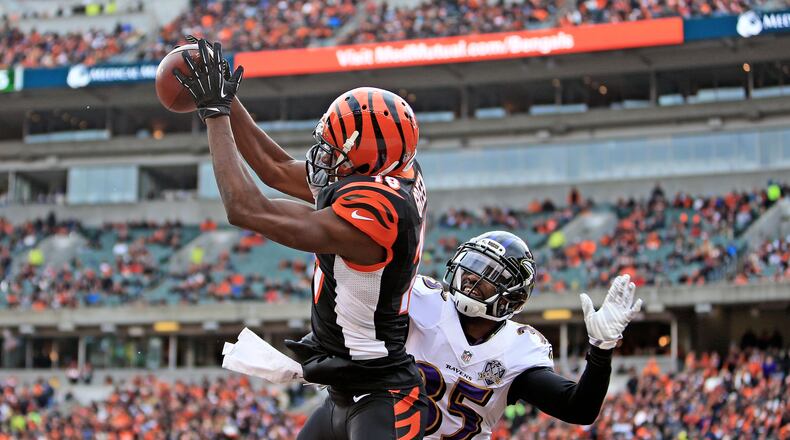 CINCINNATI, OH - JANUARY 3: Wide receiver A.J. Green #18 of the Cincinnati Bengals catches a pass for a touchdown while being defended by defensive back Shareece Wright #35 of the Baltimore Ravens during the third quarter at Paul Brown Stadium on January 3, 2016 in Cincinnati, Ohio. (Photo by Andrew Weber/Getty Images)
