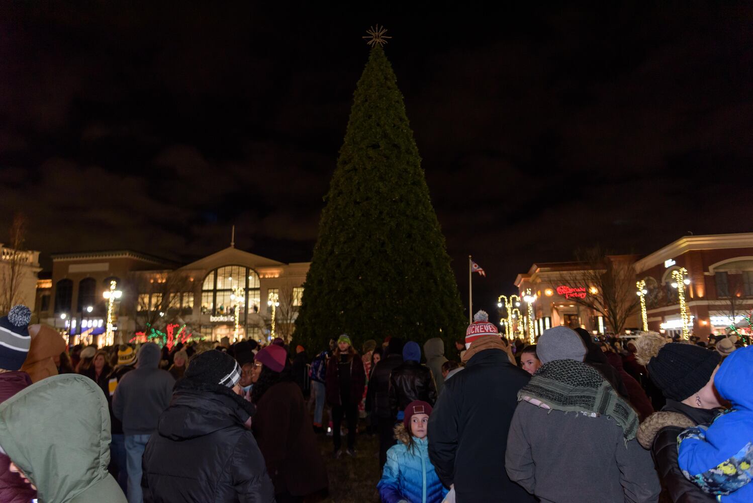 PHOTOS: Did we spot you at the Christmas Tree Lighting & Santa Arrival Parade at The Greene?