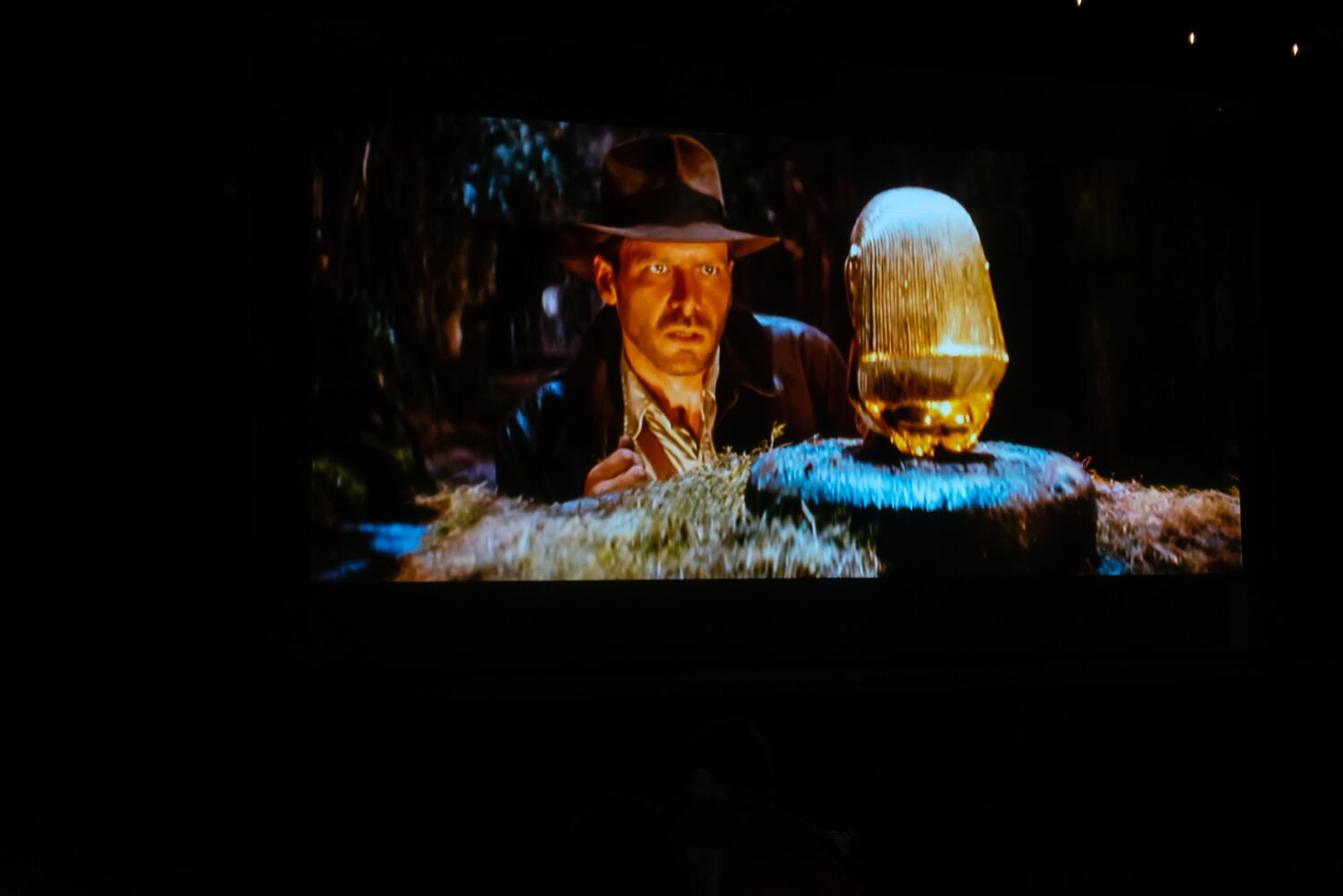 PHOTOS: Did we spot you at the Raiders of the Lost Ark movie party at The Brightside?