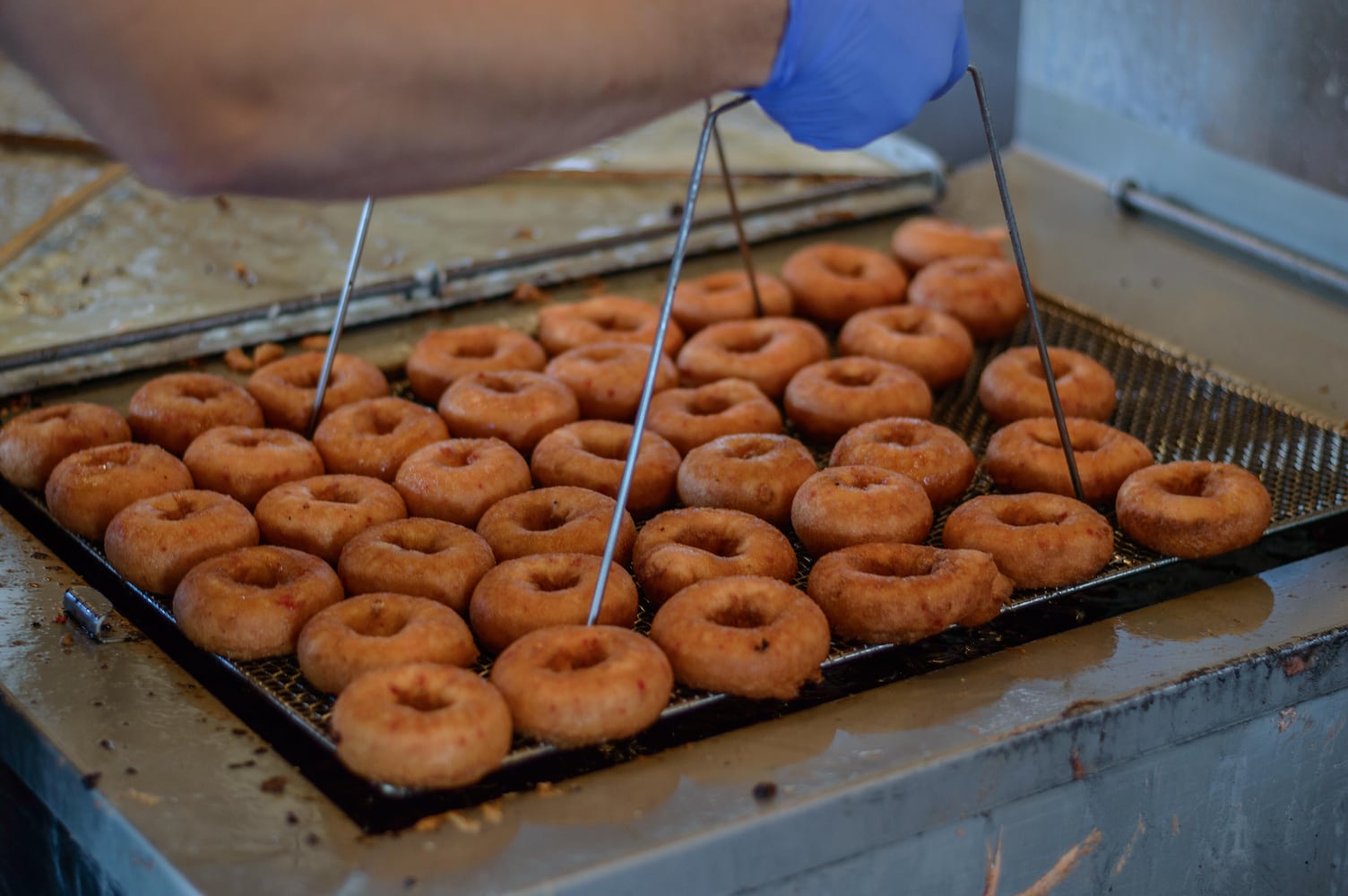 PHOTOS: Troy Strawberry Festival 2017