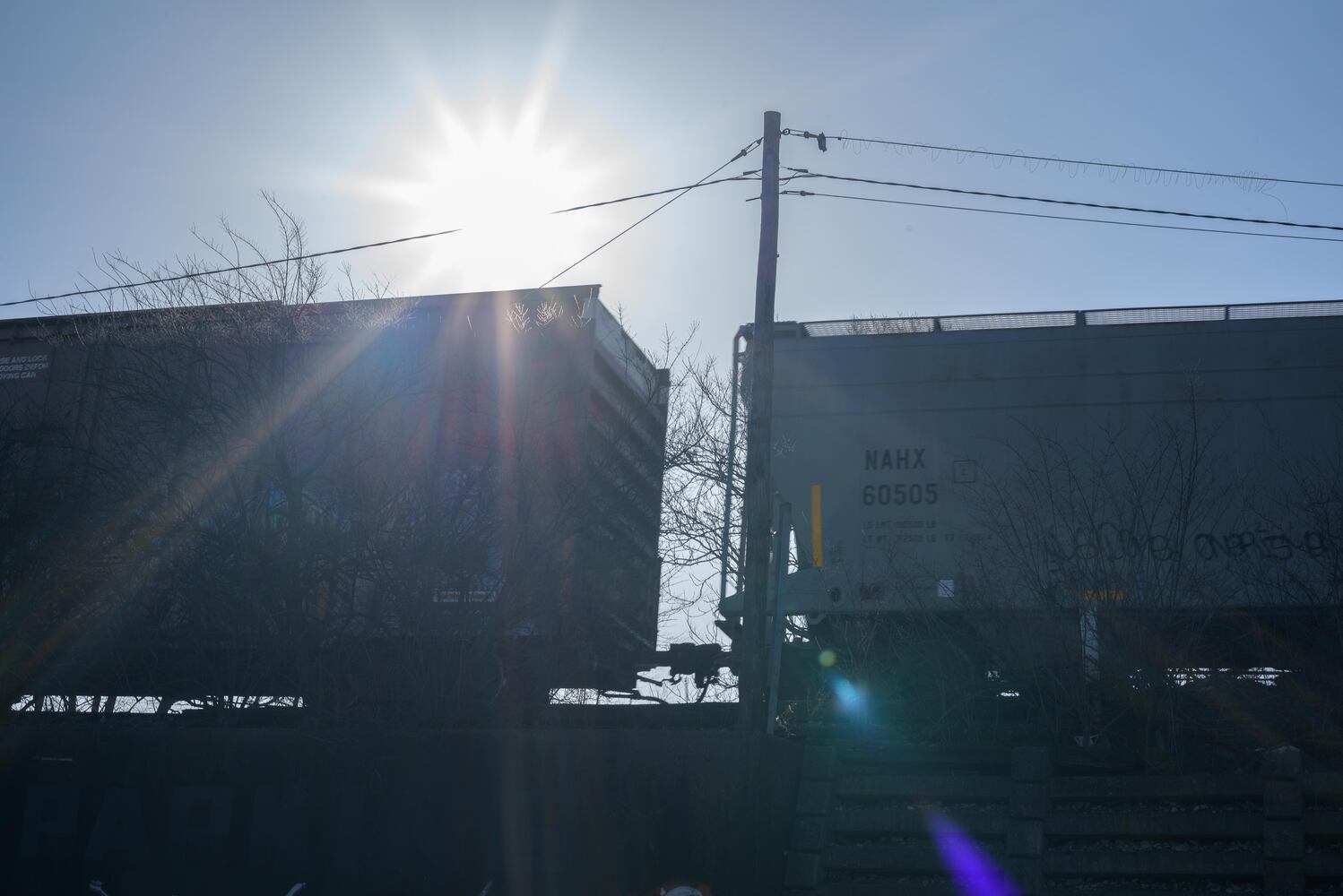 PHOTOS: 2nd Street Market's Outdoor Market Season Kickoff