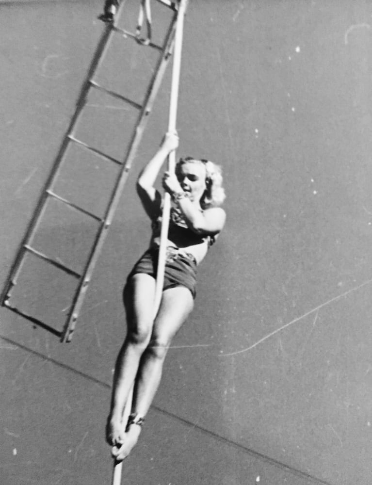 Dixie Lee Belt Hinders