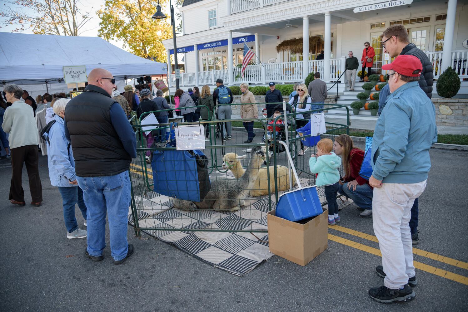 PHOTOS: Did we spot you at the Yellow Springs Street Fair