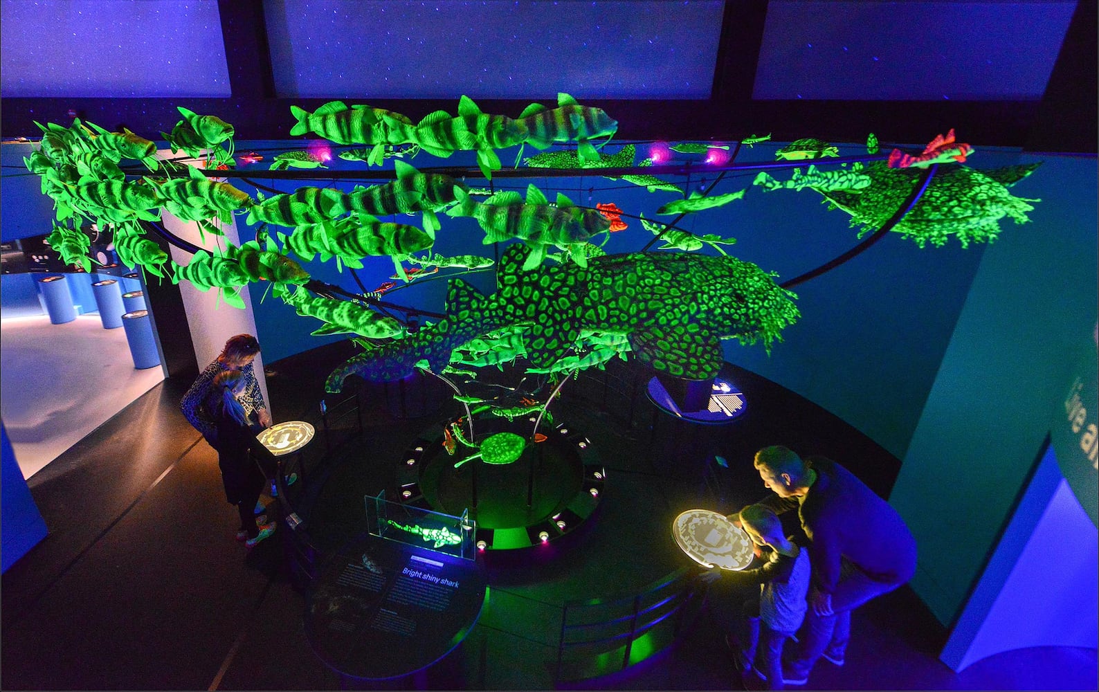 PHOTOS: New COSI exhibition is a voyage under the sea