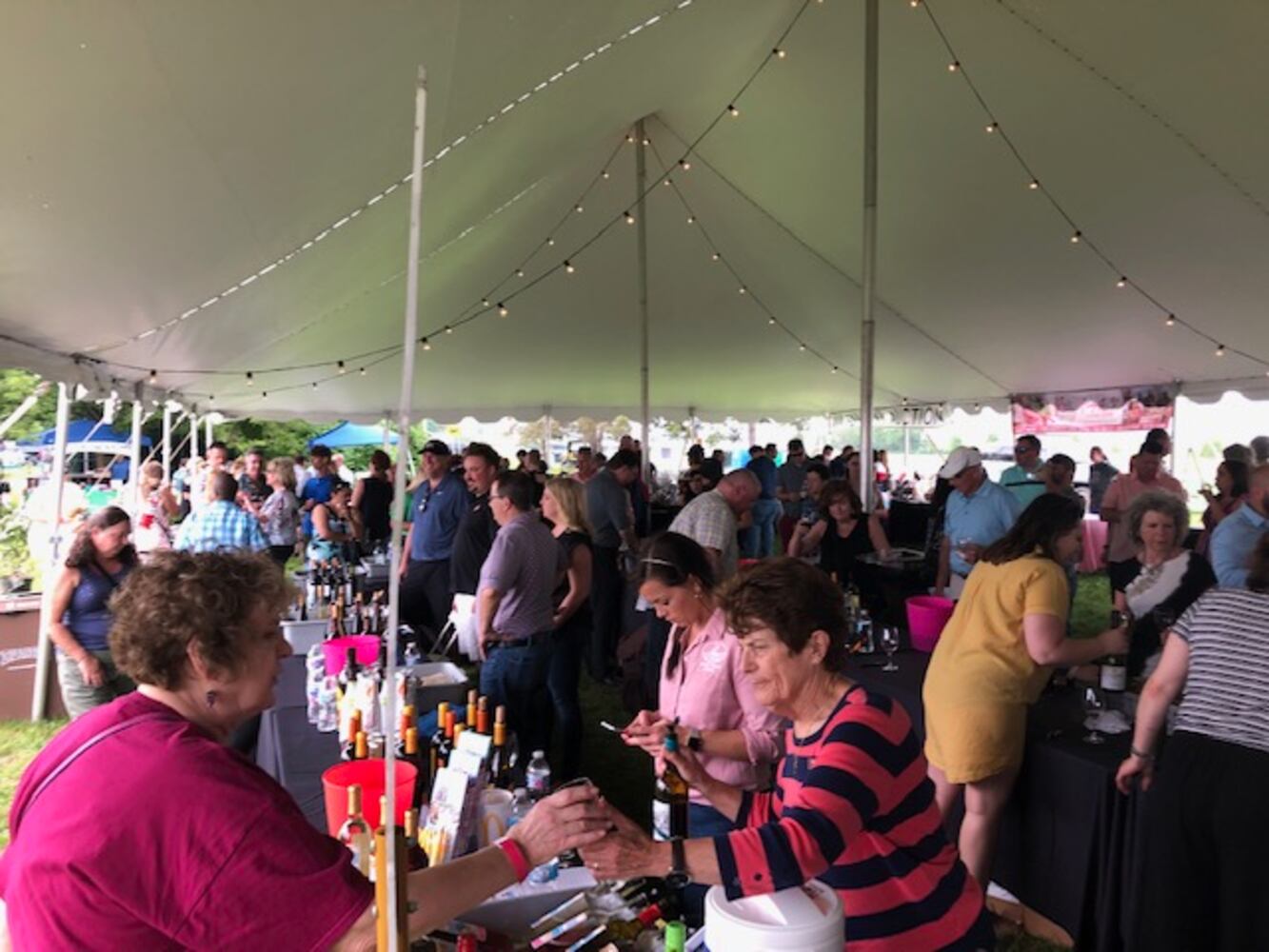 PHOTOS: Who was spotted at Dayton’s largest wine festival, the Fleurs de Fete at Carillon Park?
